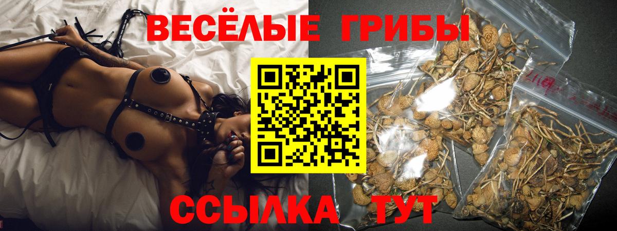 Тольятти  Псилоцибиновые грибы MAGIC MUSHROOMS  Вход с VPN  Галлюциногенные грибы прущие грибы 