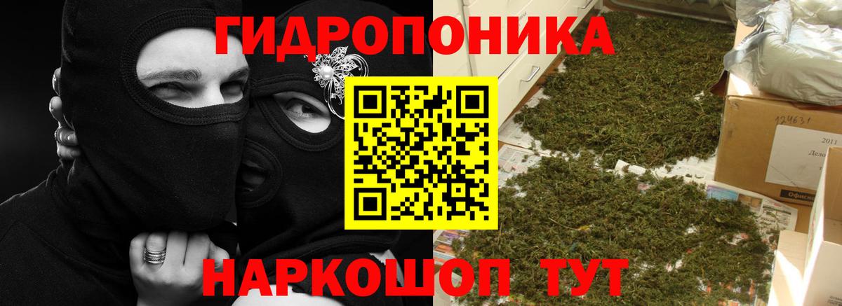 МАРИХУАНА Bruce Banner  Вход с VPN  Тольятти  МАРИХУАНА VHQ 